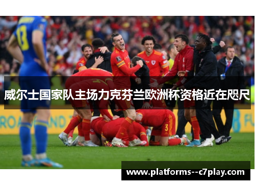威尔士国家队主场力克芬兰欧洲杯资格近在咫尺